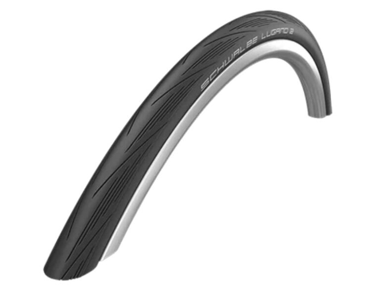 Schwalbe Lugano II